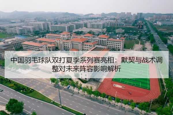 中国羽毛球队双打夏季系列赛亮相：默契与战术调整对未来阵容影响解析